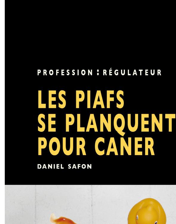 Profession : régulateur, tome 1