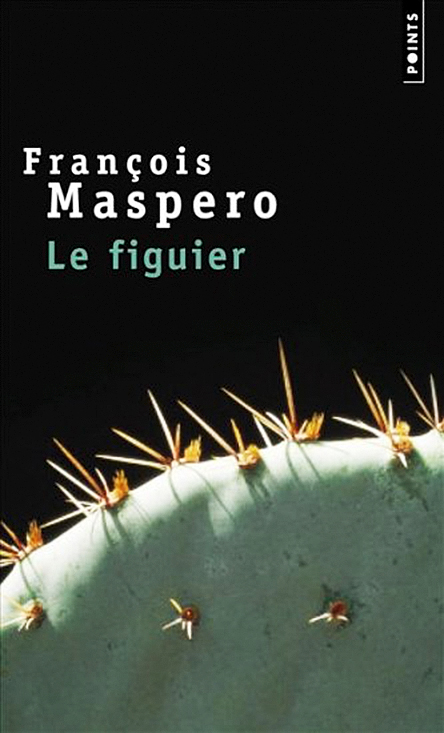 Le figuier