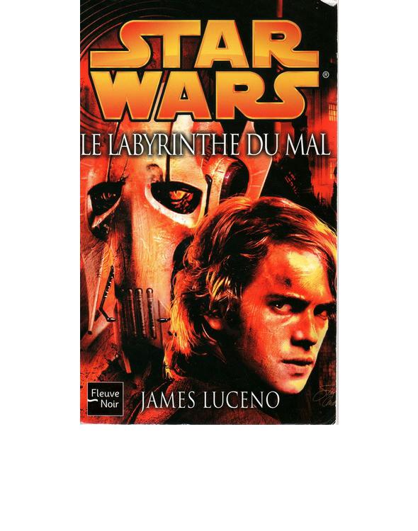 Le labyrinthe du mal