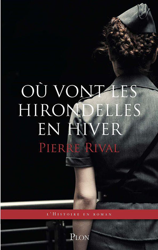 Où vont les hirondelles en hiver