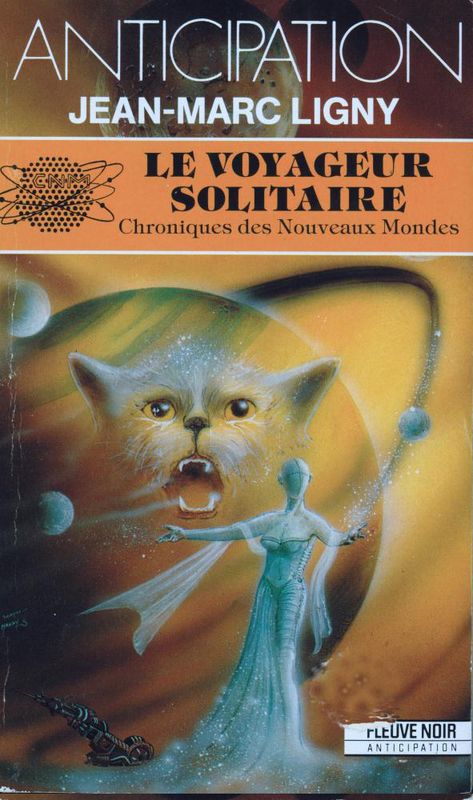 Le voyageur solitaire