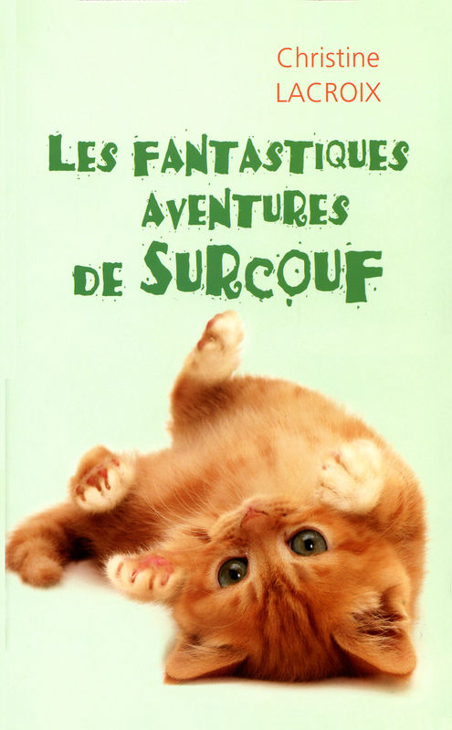 Les fantastiques aventures de Surcouf