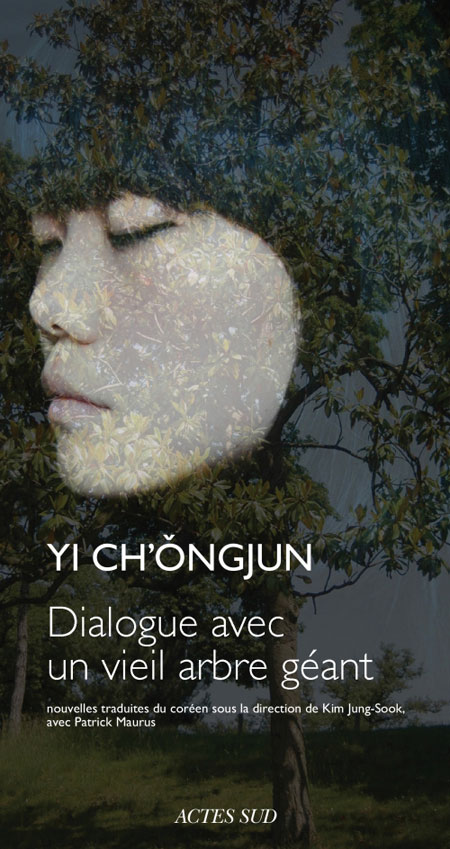 Dialogue avec un arbre géant