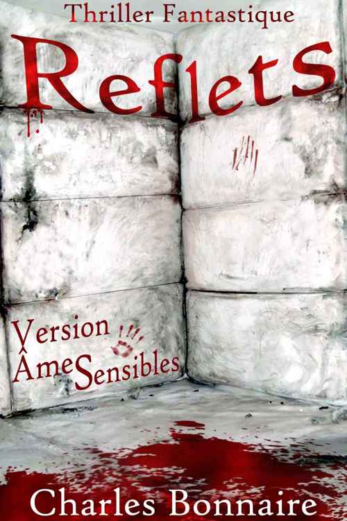 Reflets - Version Âmes Sensibles