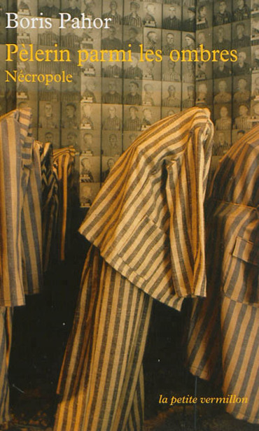 Pèlerin parmi les ombres