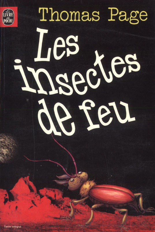 Les insectes de feu