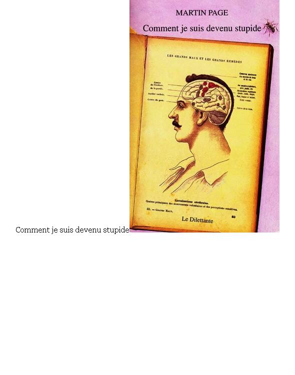 Comment je suis devenu stupide