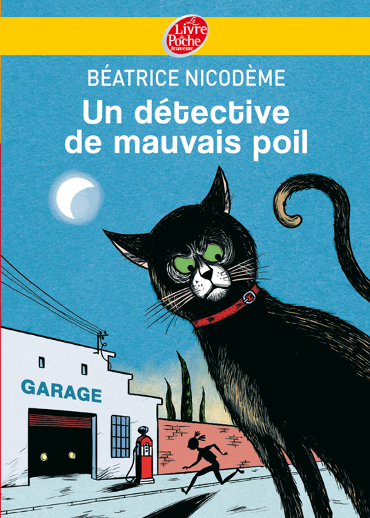 Un détective de mauvais poil