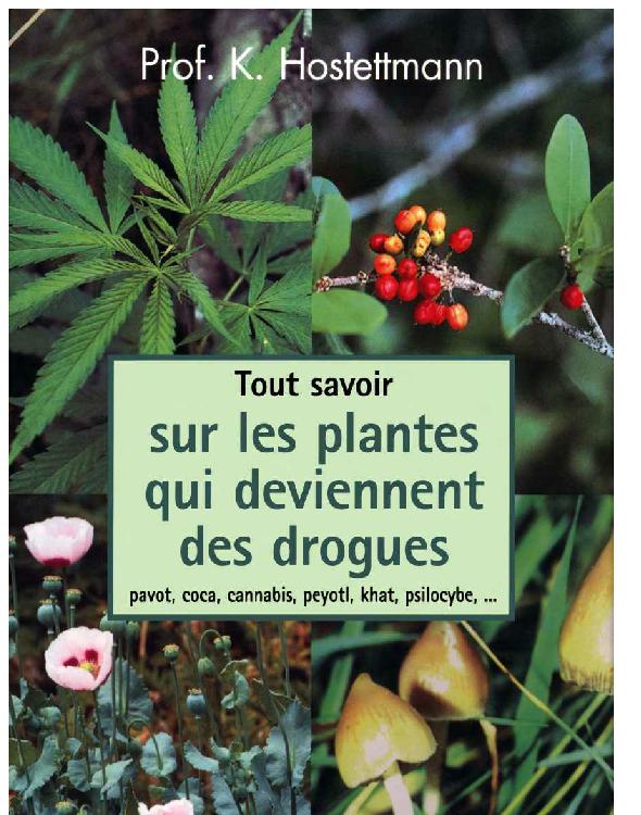 Tout Savoir sur les Plantes qui Deviennent des Drogues