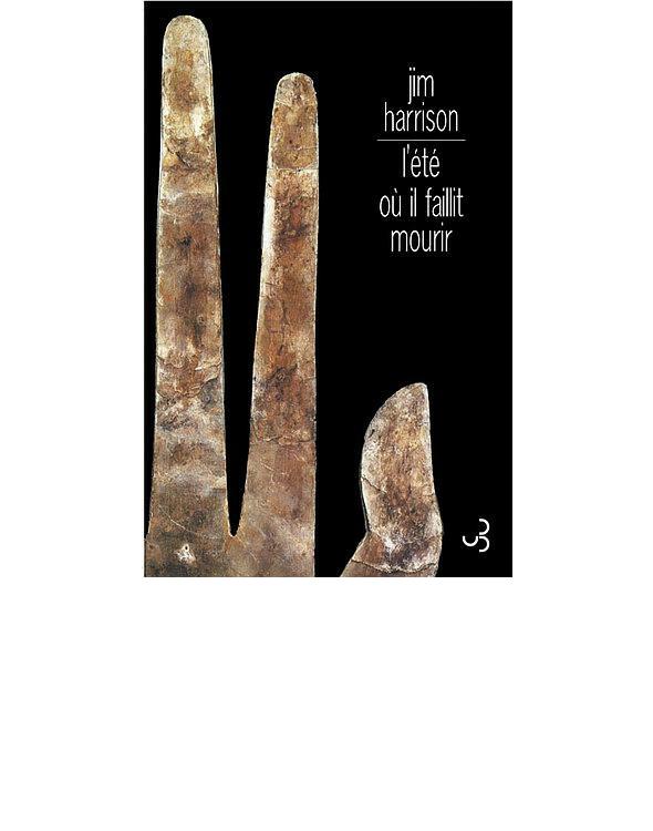 L’Été où il faillit mourir