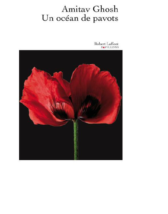 Un océan de pavots (Pavillons) 