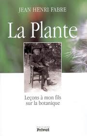 La plante