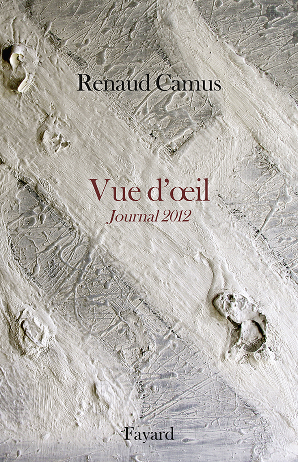 Vue d'oeil: Journal 2012