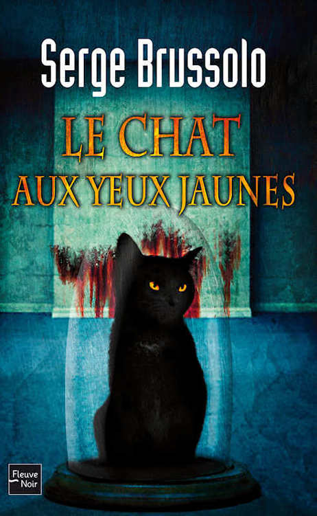 Le chat aux yeux jaunes