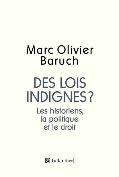 Des lois indignes?: Les historiens, la politique et le droit 