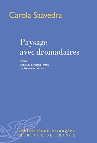Paysage avec dromadaires