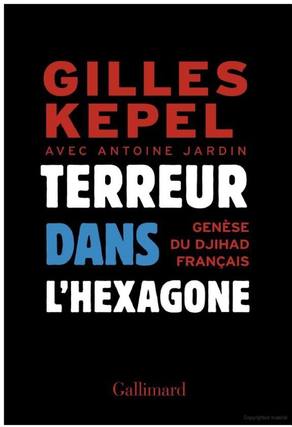 Terreur dans l'Hexagone. Genèse du djihad français