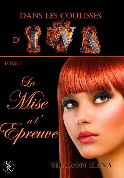 La mise à l'épreuve