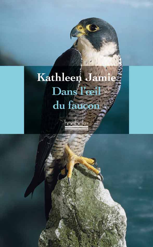 Dans l’œil du faucon