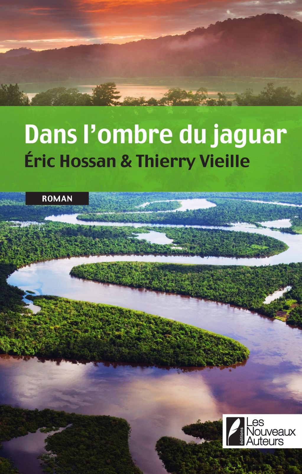 Dans l'ombre du jaguar