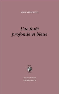 Une forêt profonde et bleue