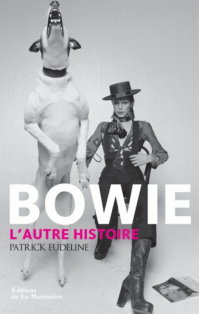 Bowie: L'autre histoire