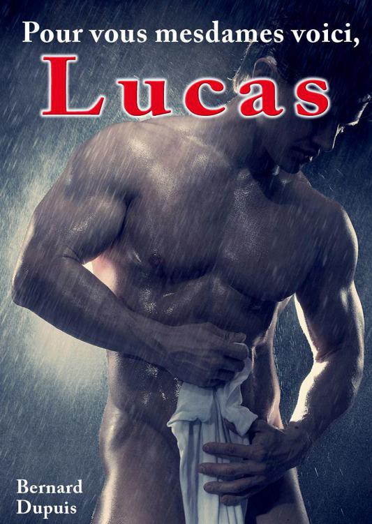 Pour vous mesdames voici, Lucas - les 20 épisodes