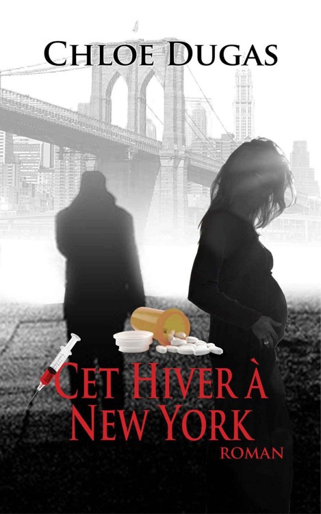 Cet hiver à New York