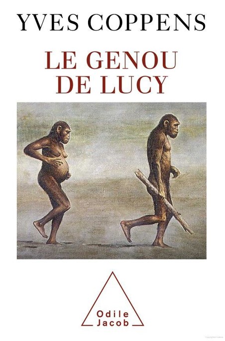 Le genou de Lucy