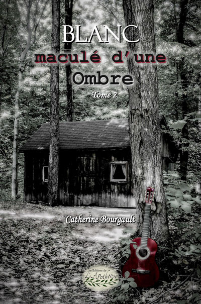 Blanc maculé d'une ombre - 2