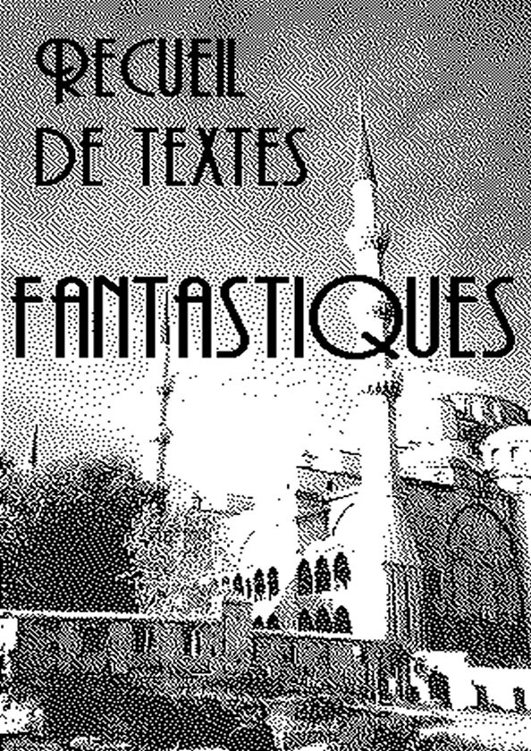 Contes et Nouvelles Fantastiques fançais du XIX