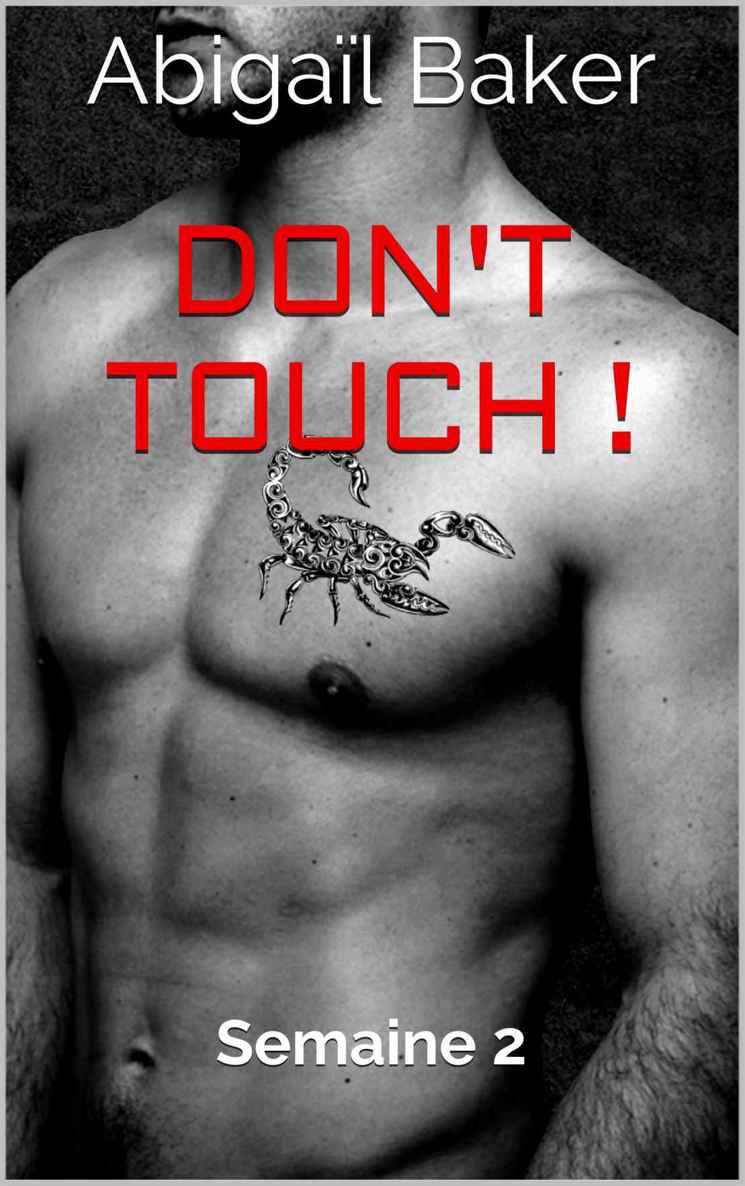 Don't touch !: Semaine 2