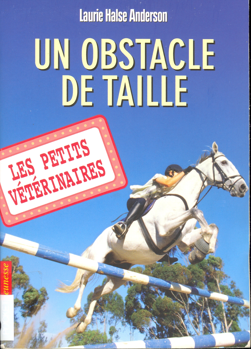 Un obstacle de taille