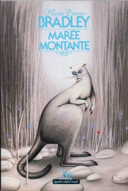 Marée montante - La Rhu'ad - Oiseau de proie
