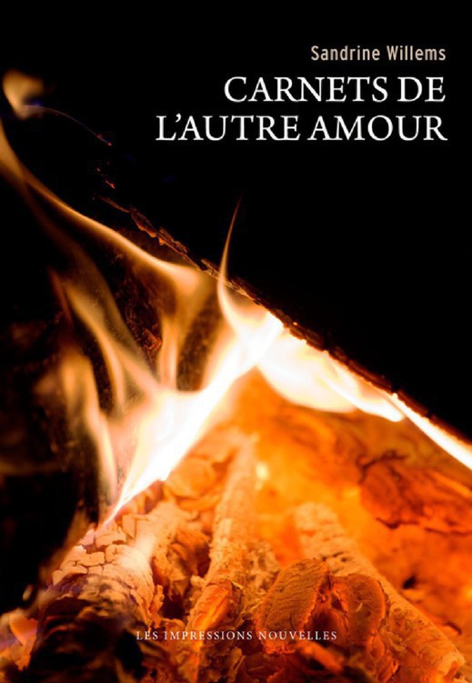 Carnets de l'autre amour